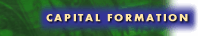Capital Formation