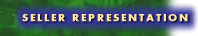 Seller Representation